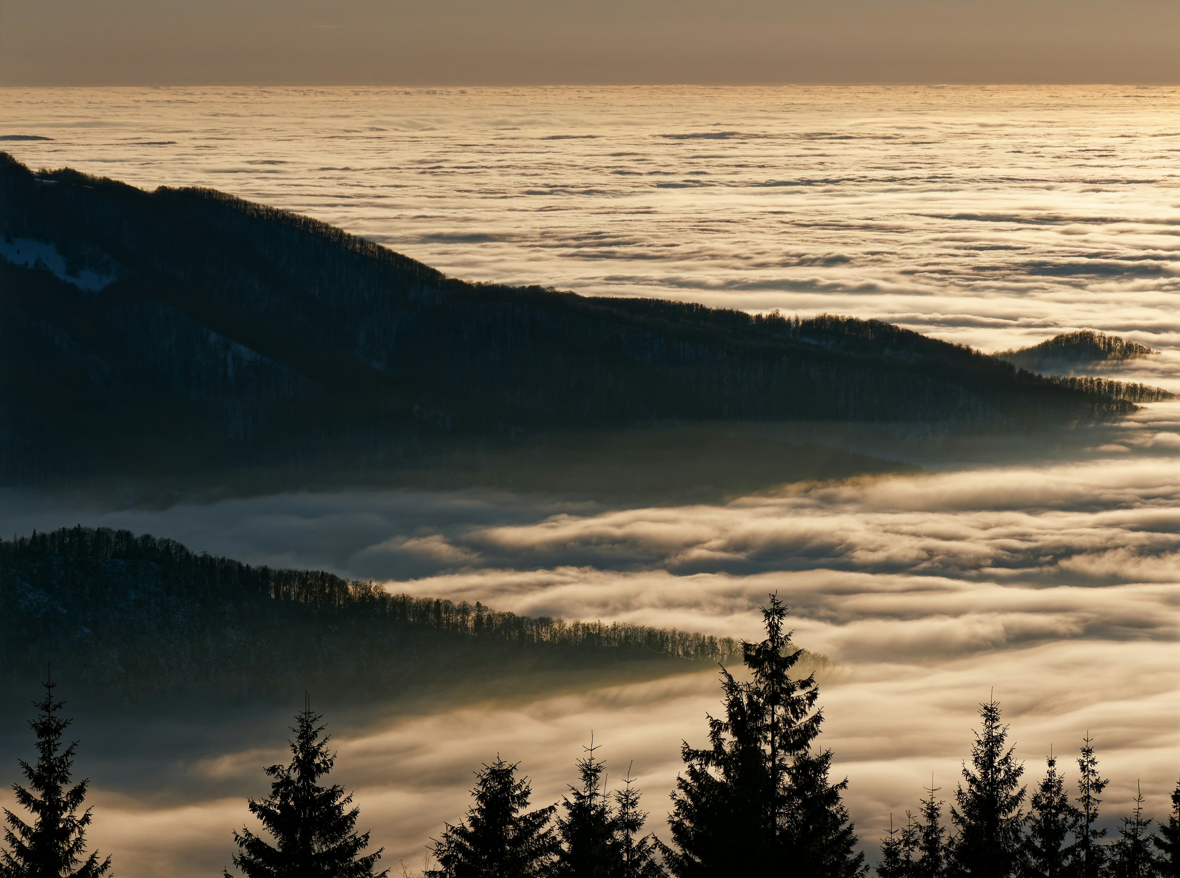 nature